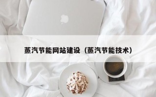 东方蒸汽节能网站建设（蒸汽节能技术）